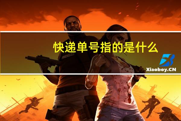 快递单号指的是什么