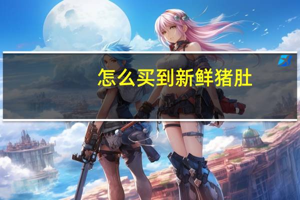 怎么买到新鲜猪肚