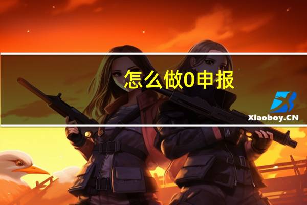 怎么做0申报