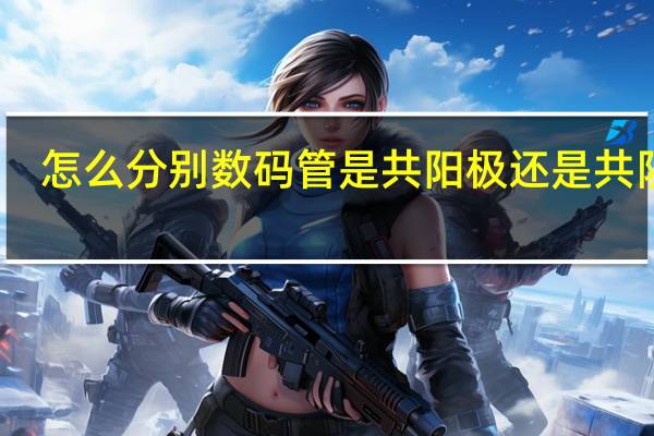 怎么分别数码管是共阳极还是共阴极