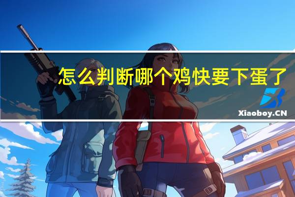 怎么判断哪个鸡快要下蛋了