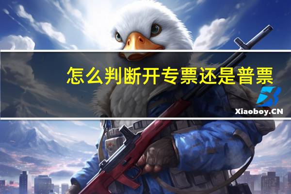 怎么判断开专票还是普票
