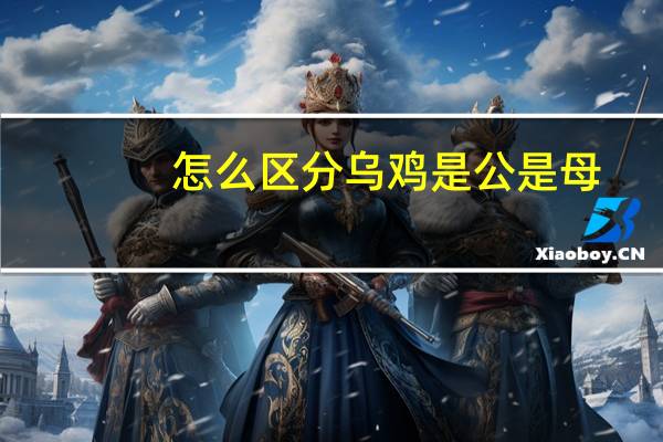 怎么区分乌鸡是公是母