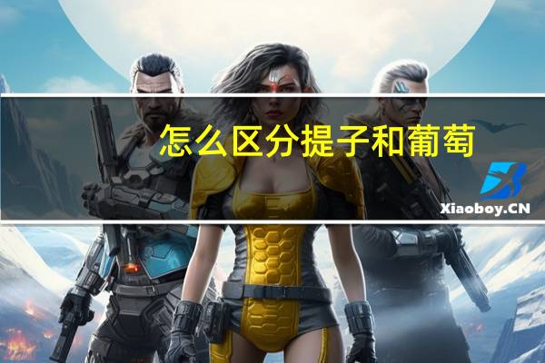 怎么区分提子和葡萄