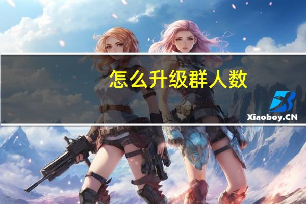 怎么升级群人数