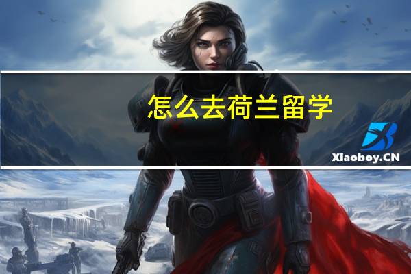 怎么去荷兰留学