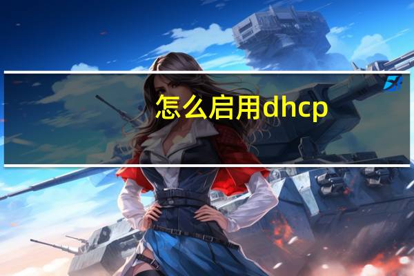 怎么启用dhcp