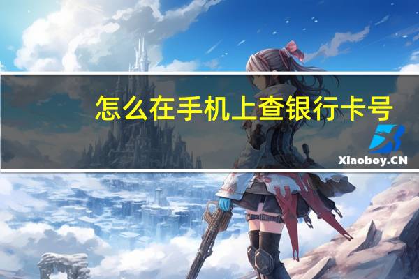 怎么在手机上查银行卡号