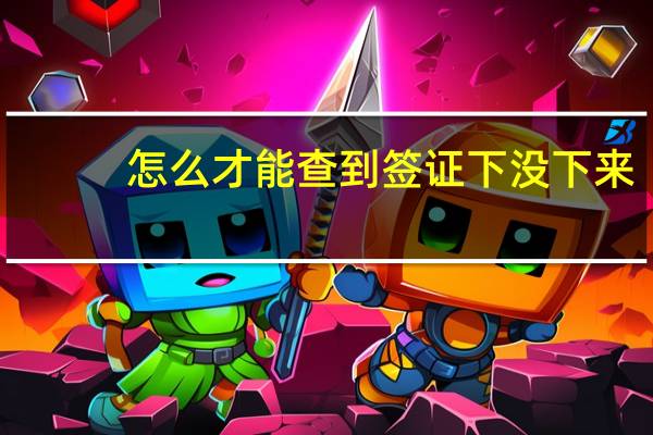 怎么才能查到签证下没下来