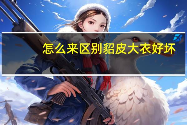 怎么来区别貂皮大衣好坏