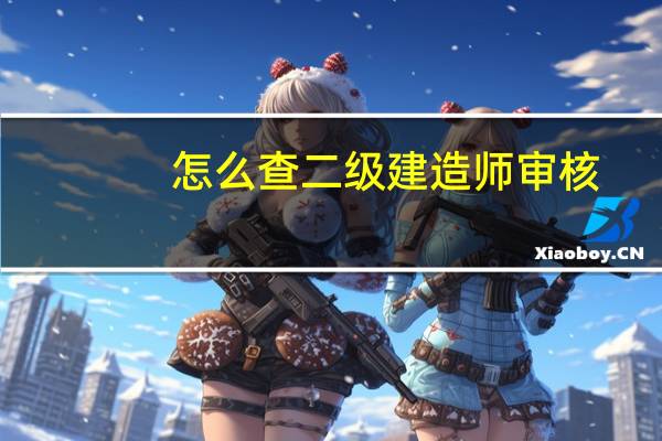 怎么查二级建造师审核