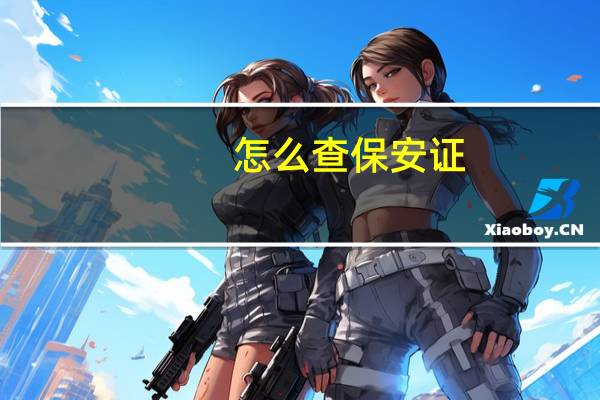 怎么查保安证