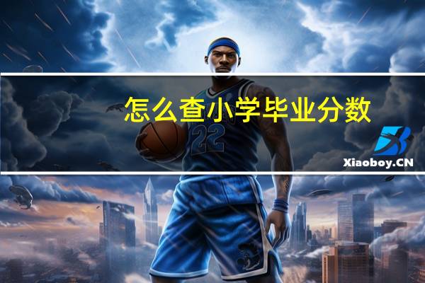 怎么查小学毕业分数