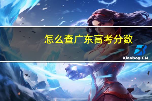 怎么查广东高考分数