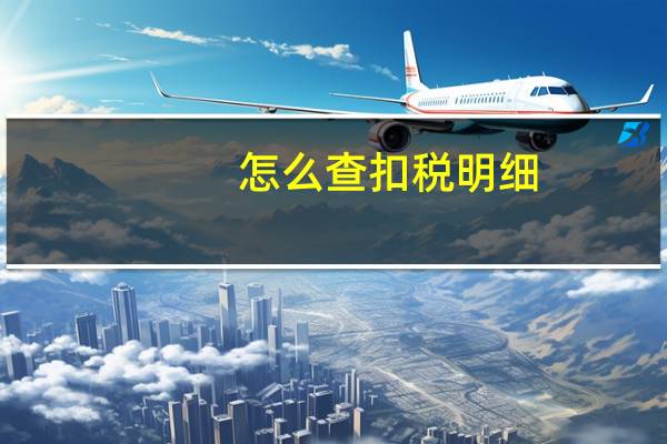怎么查扣税明细