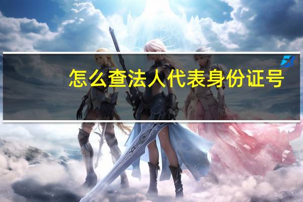 怎么查法人代表身份证号