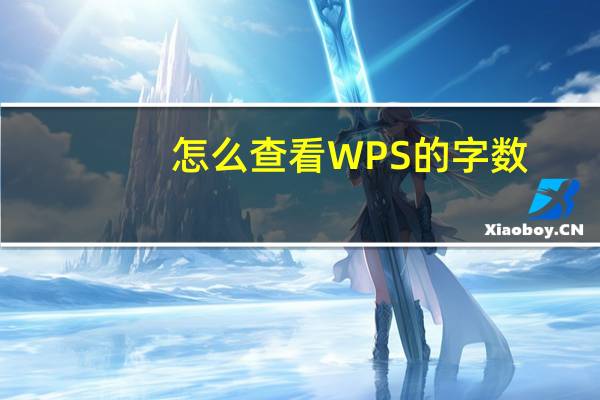 怎么查看WPS的字数