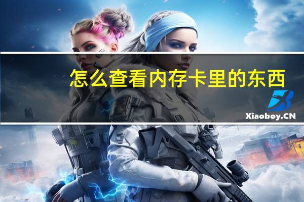 怎么查看内存卡里的东西