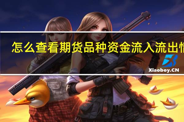 怎么查看期货品种资金流入流出情况