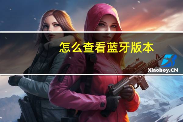怎么查看蓝牙版本