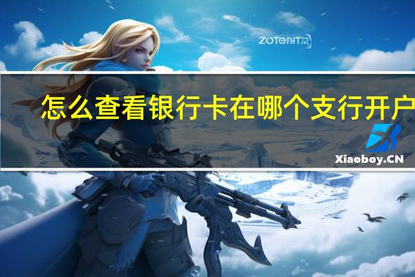 怎么查看银行卡在哪个支行开户的