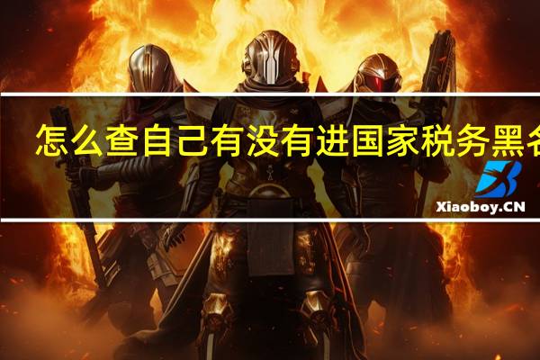 怎么查自己有没有进国家税务黑名单