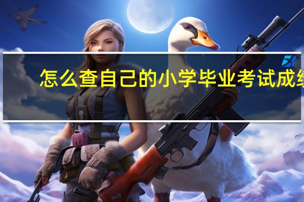怎么查自己的小学毕业考试成绩