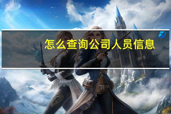 怎么查询公司人员信息