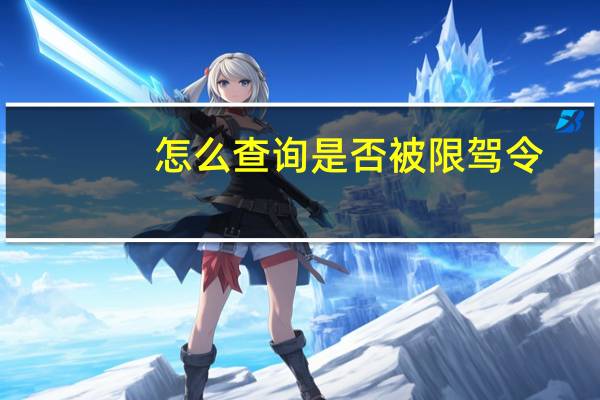 怎么查询是否被限驾令