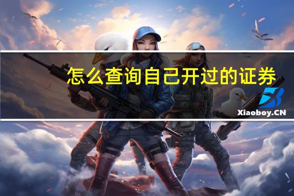 怎么查询自己开过的证券