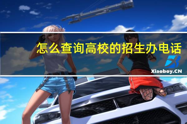 怎么查询高校的招生办电话