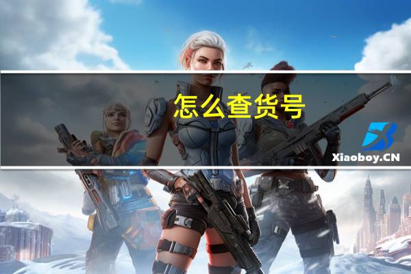 怎么查货号