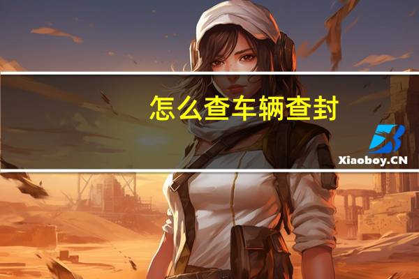 怎么查车辆查封
