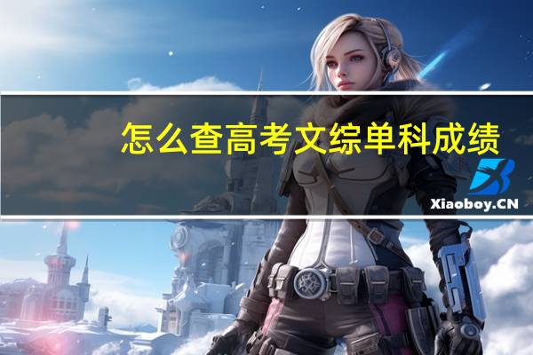 怎么查高考文综单科成绩