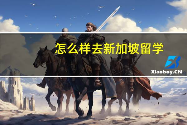怎么样去新加坡留学