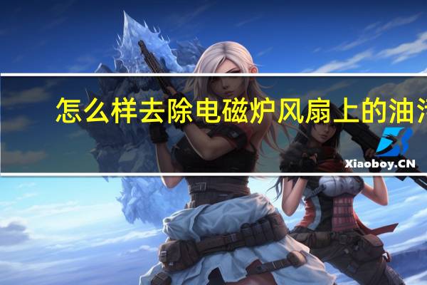 怎么样去除电磁炉风扇上的油污