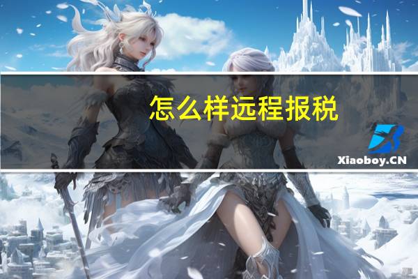 怎么样远程报税