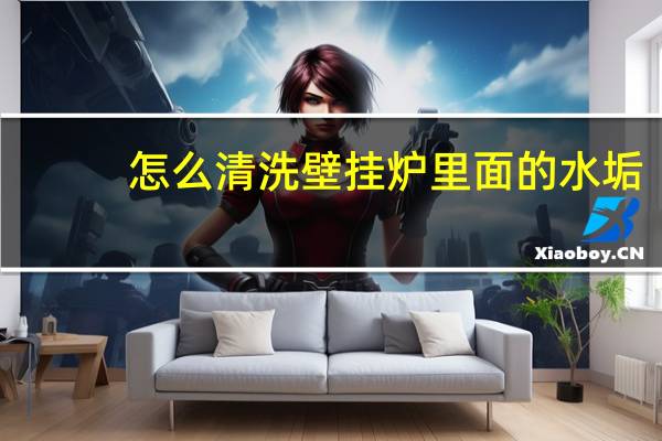 怎么清洗壁挂炉里面的水垢