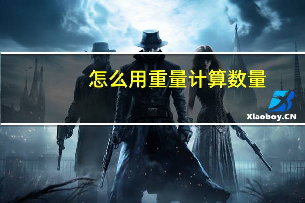 怎么用重量计算数量