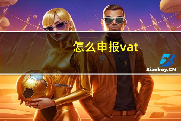 怎么申报vat