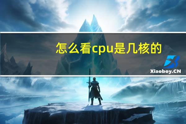 怎么看cpu是几核的