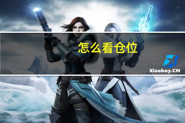 怎么看仓位
