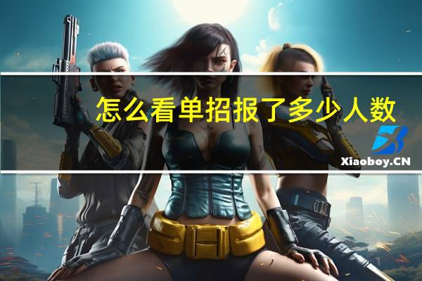 怎么看单招报了多少人数