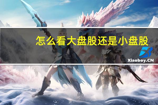 怎么看大盘股还是小盘股