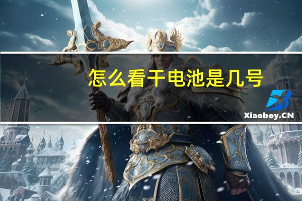 怎么看干电池是几号