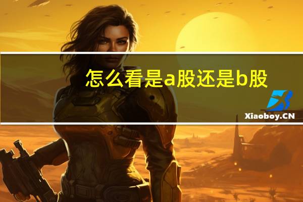 怎么看是a股还是b股