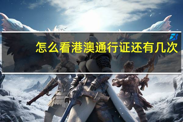 怎么看港澳通行证还有几次