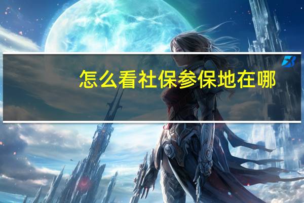 怎么看社保参保地在哪