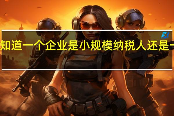 怎么知道一个企业是小规模纳税人还是一般纳税人