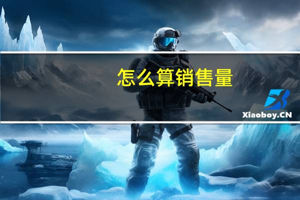 怎么算销售量